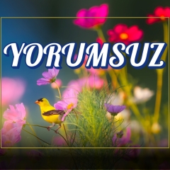 Yorumsuz